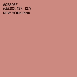 #CB897F - New York Pink Color Image